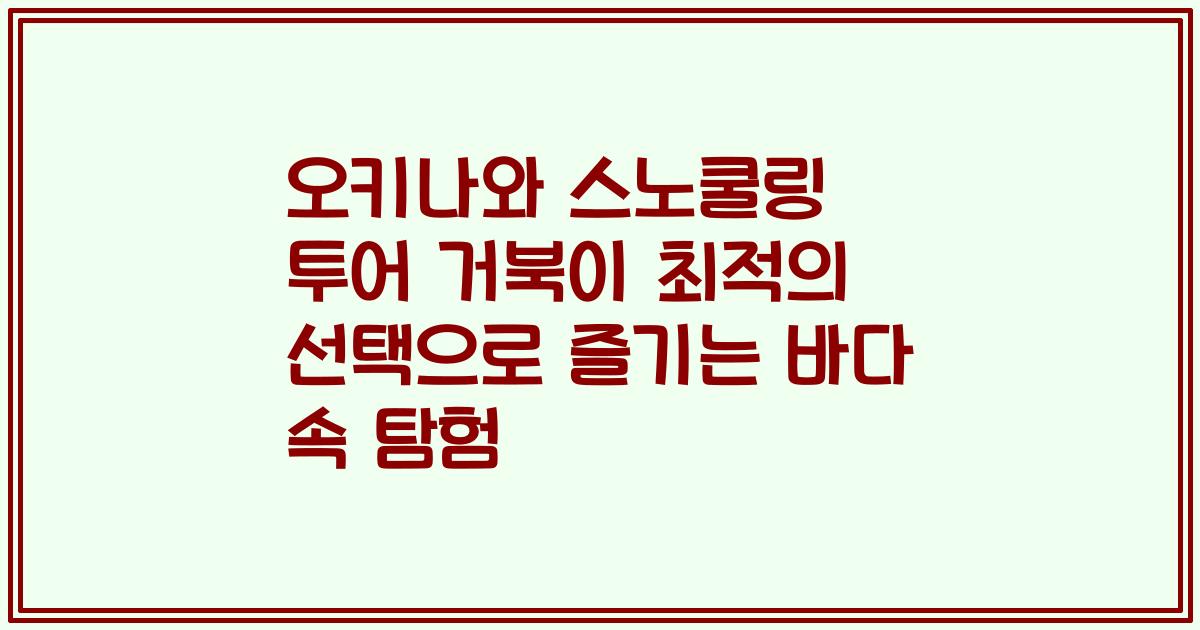 오키나와 스노쿨링 투어 거북이 최적의 선택으로 즐기는 바다 속 탐험